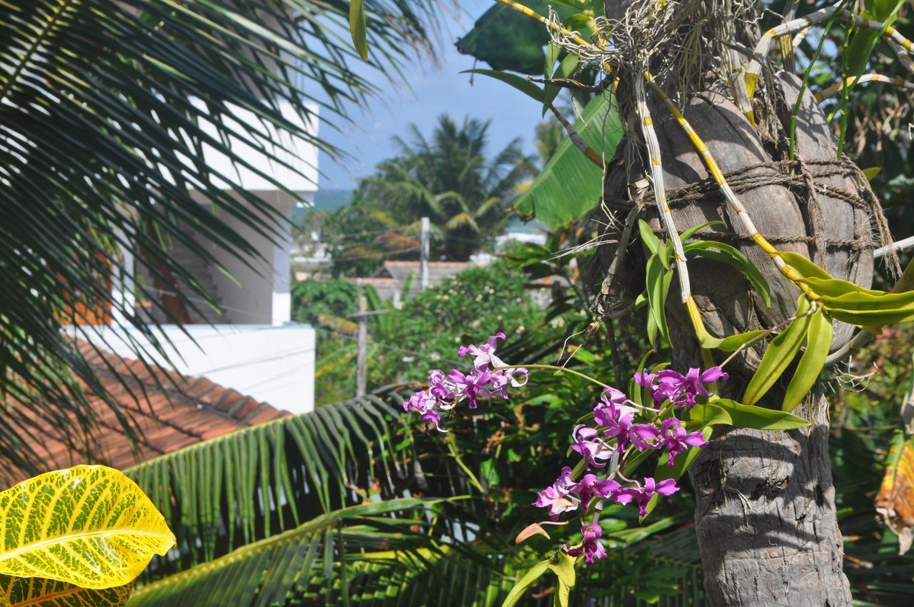 Bentota Orchid House Bed & Breakfast Екстериор снимка