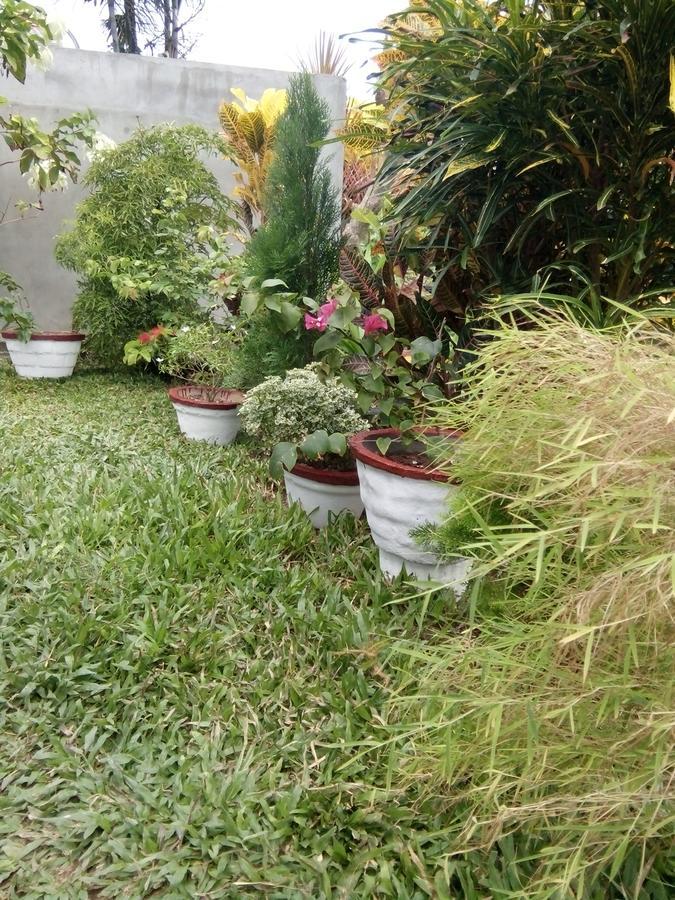 Bentota Orchid House Bed & Breakfast Екстериор снимка