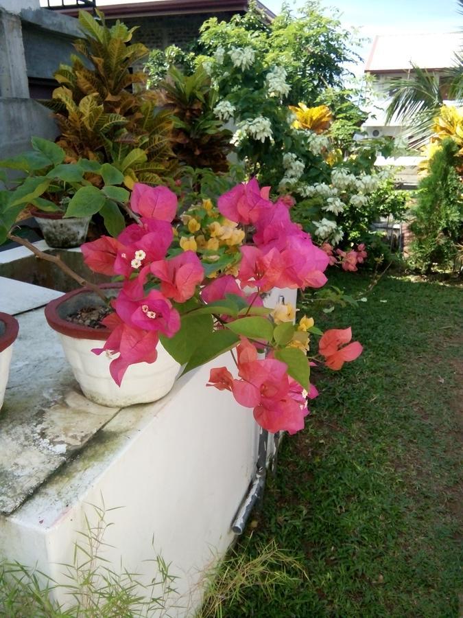 Bentota Orchid House Bed & Breakfast Екстериор снимка