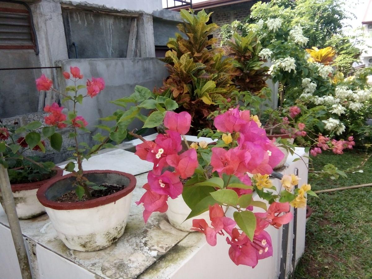 Bentota Orchid House Bed & Breakfast Екстериор снимка